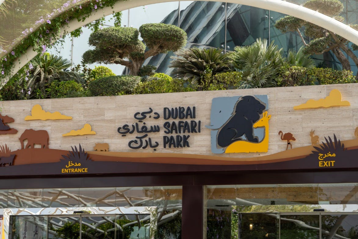Dubai Safari Park: Entry Ticket + Train Ride + Explorer Safari Tour - Photo 1 of 8